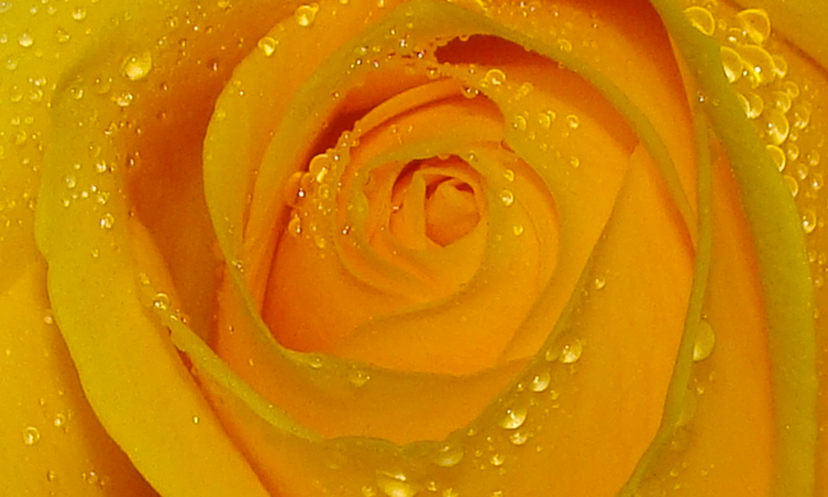 It Really is Better Wetter: the Lowdown on Lube